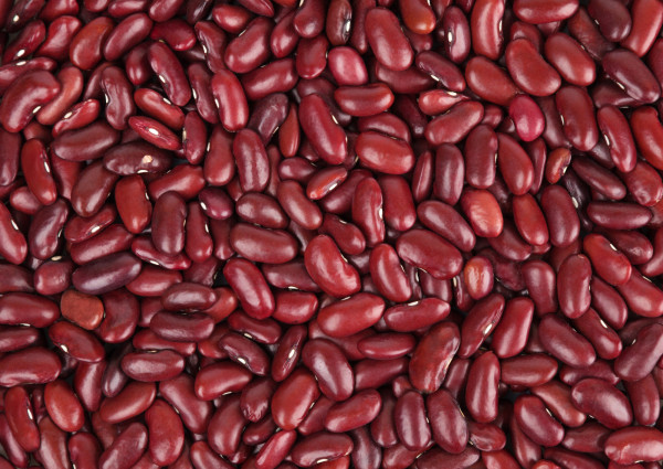 Haricot rouge