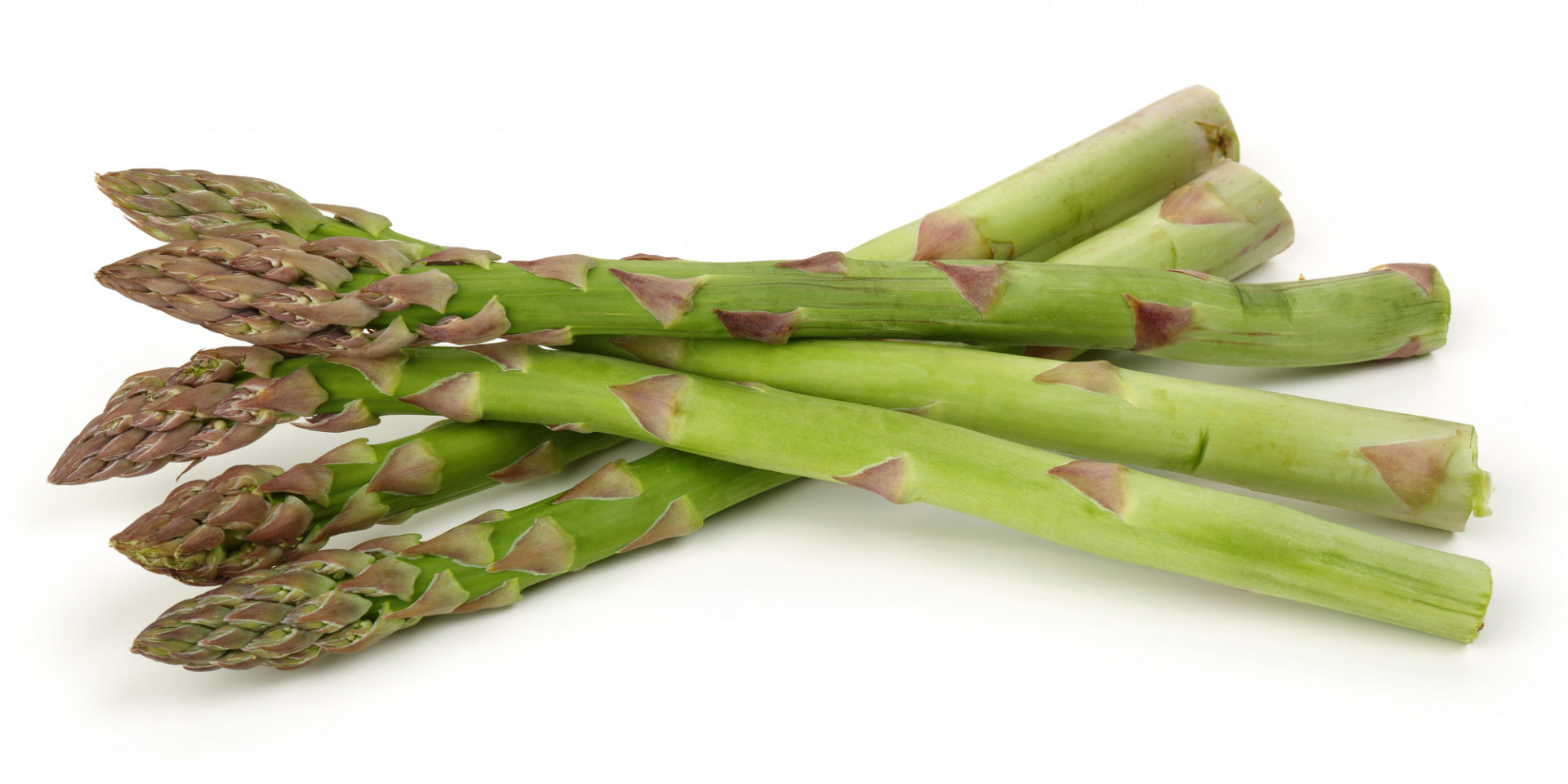 Asperge Verte