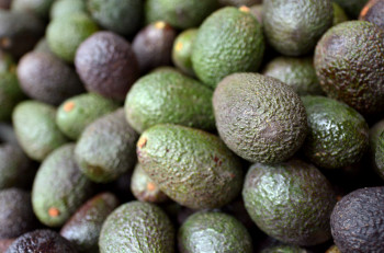 Avocat Petit