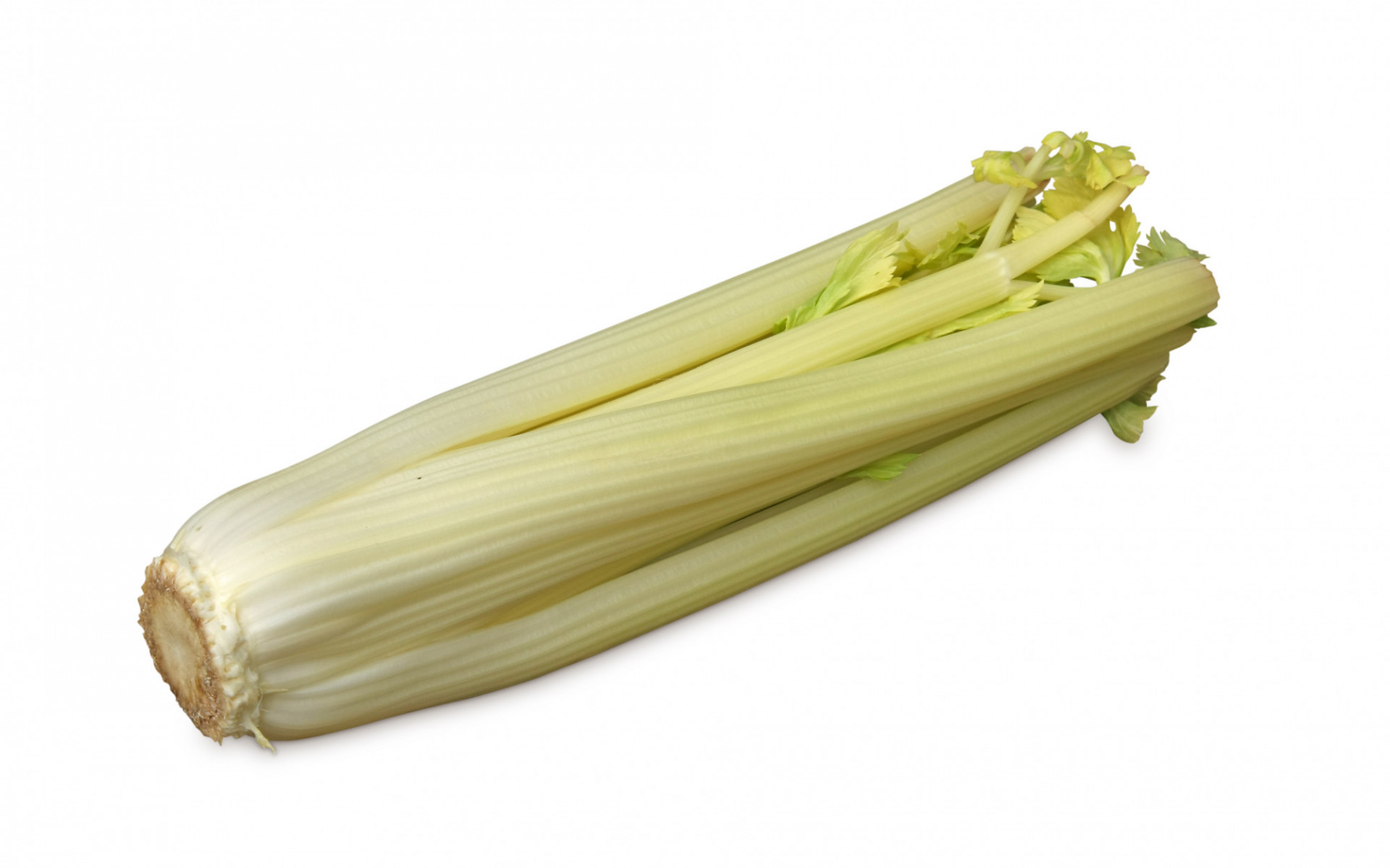 Céleri Branche doré