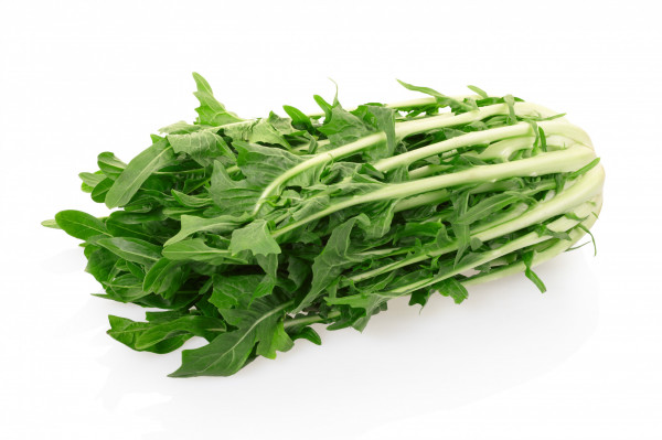 Salade Puntarella Di Catalogna